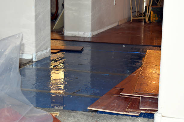 Professional Burst Pipe Cleanup technician working in Bruceville, TX